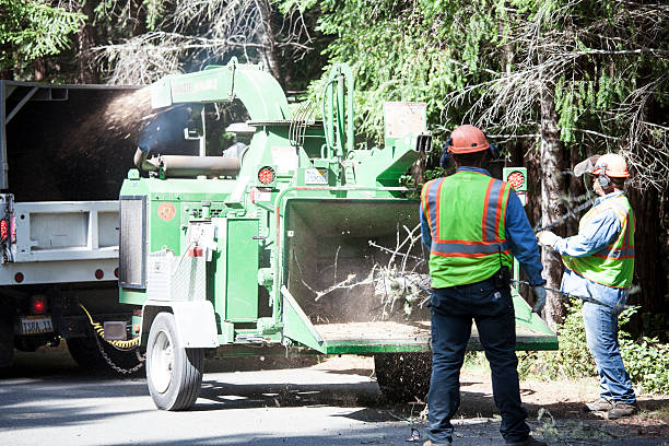 Pleasant Run, OH Tree Services Company